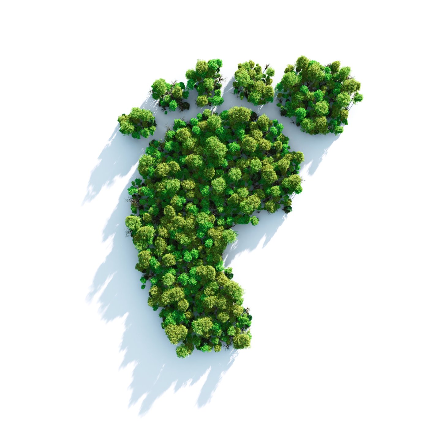 footprint duurzaamheid