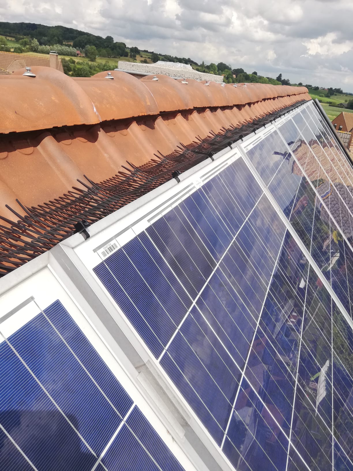 vogelwering zonnepanelen laten plaatsen