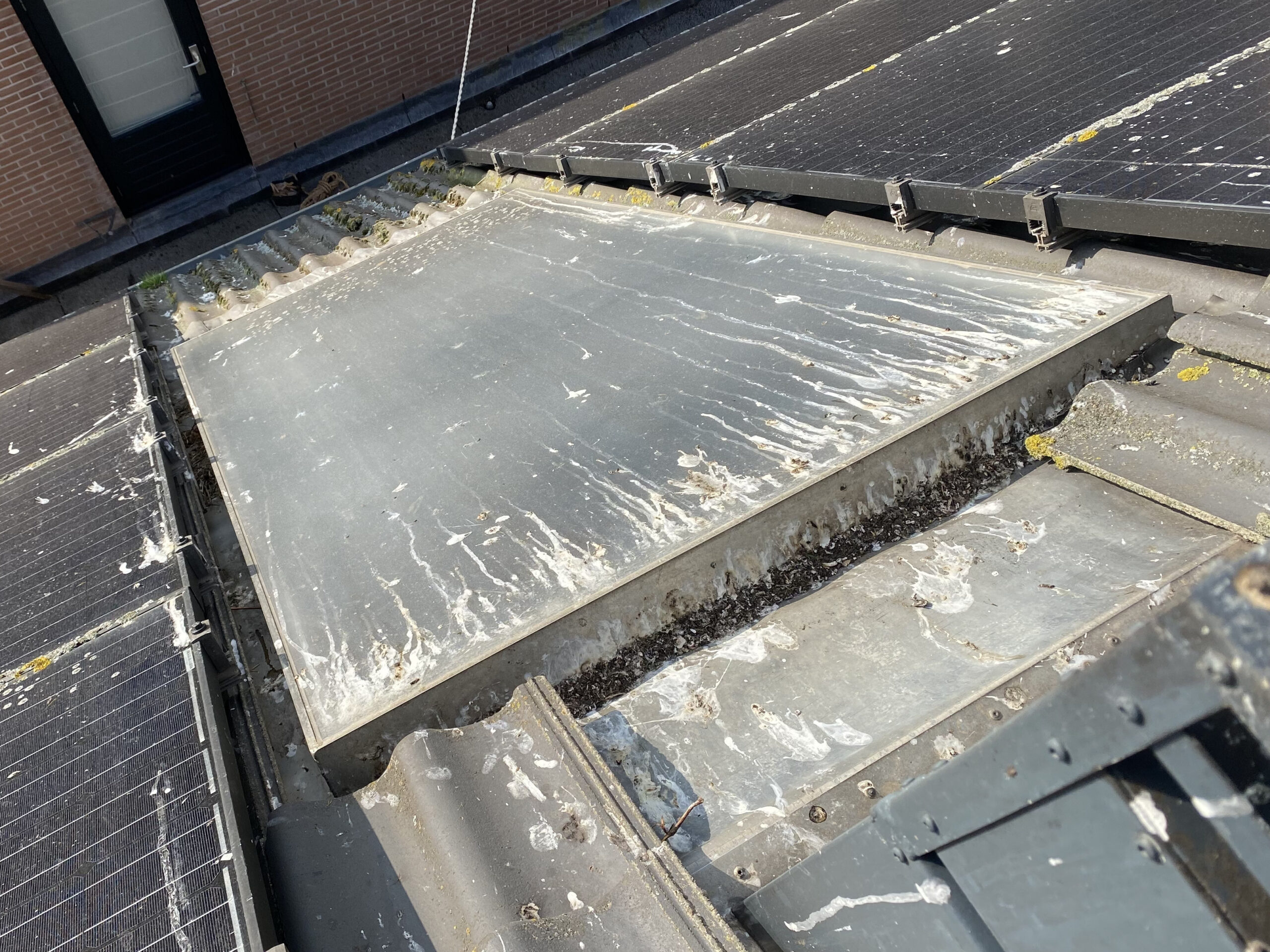 vogelnesten onder zonnepanelen