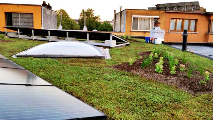 daglicht zonnepanelen