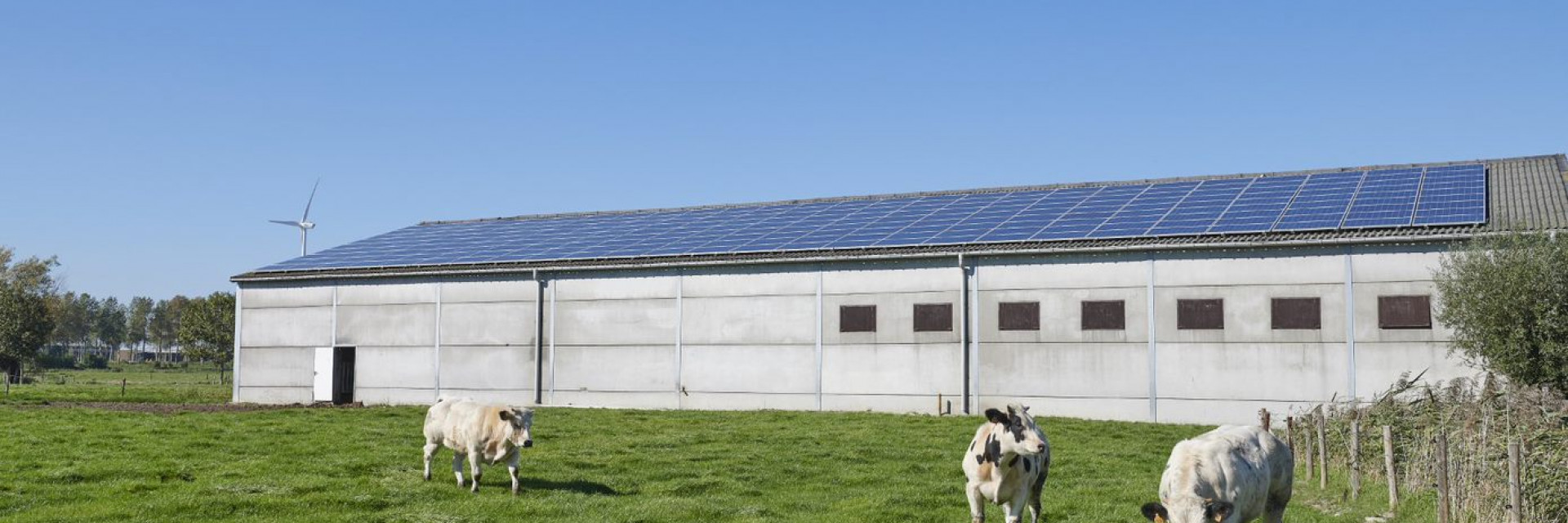 info zonnepanelen